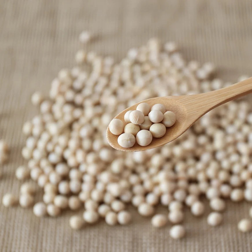Hokkaido Large Grain Soybeans "Yukihomare" 500g - Pesticide Free, Chemical Free