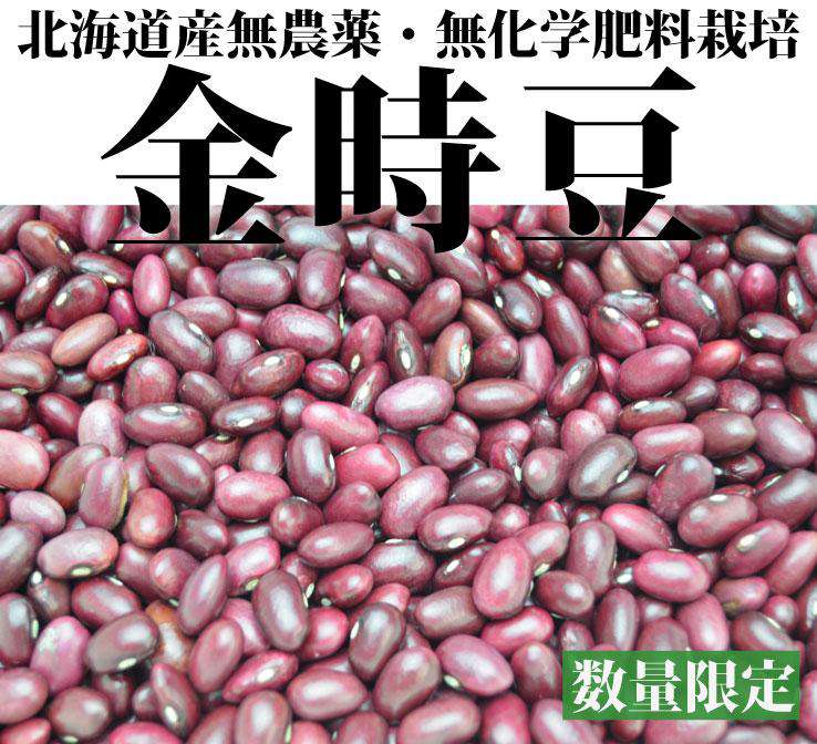 金時豆500g-北海道産無農薬 2017年度産